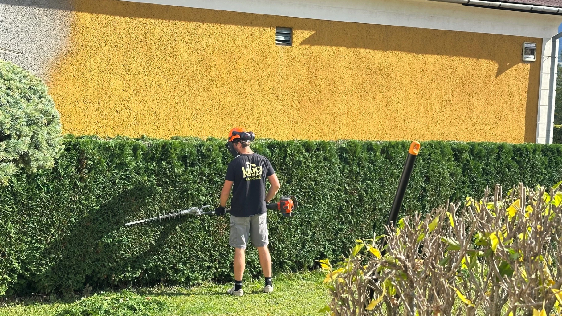 Pracovník stříhá živý plot před žlutým domem