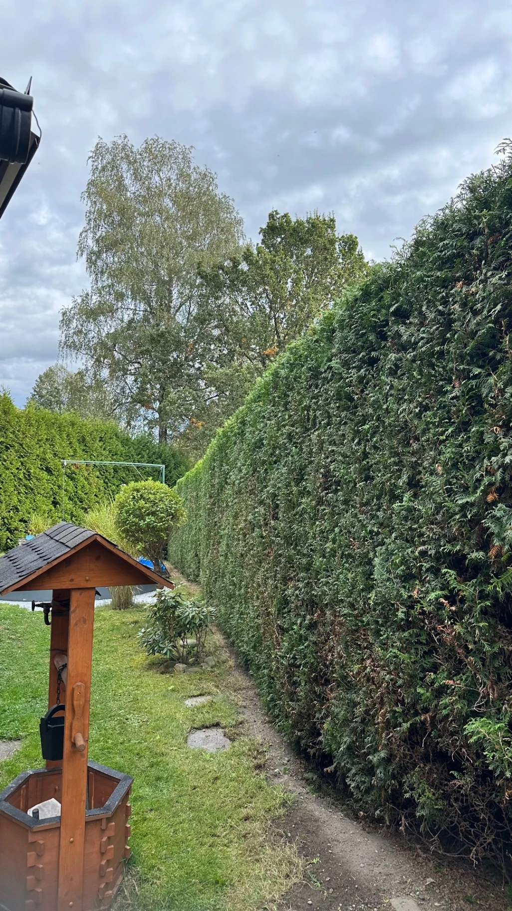 Živý plot podél zahrady s dřevěnou studnou