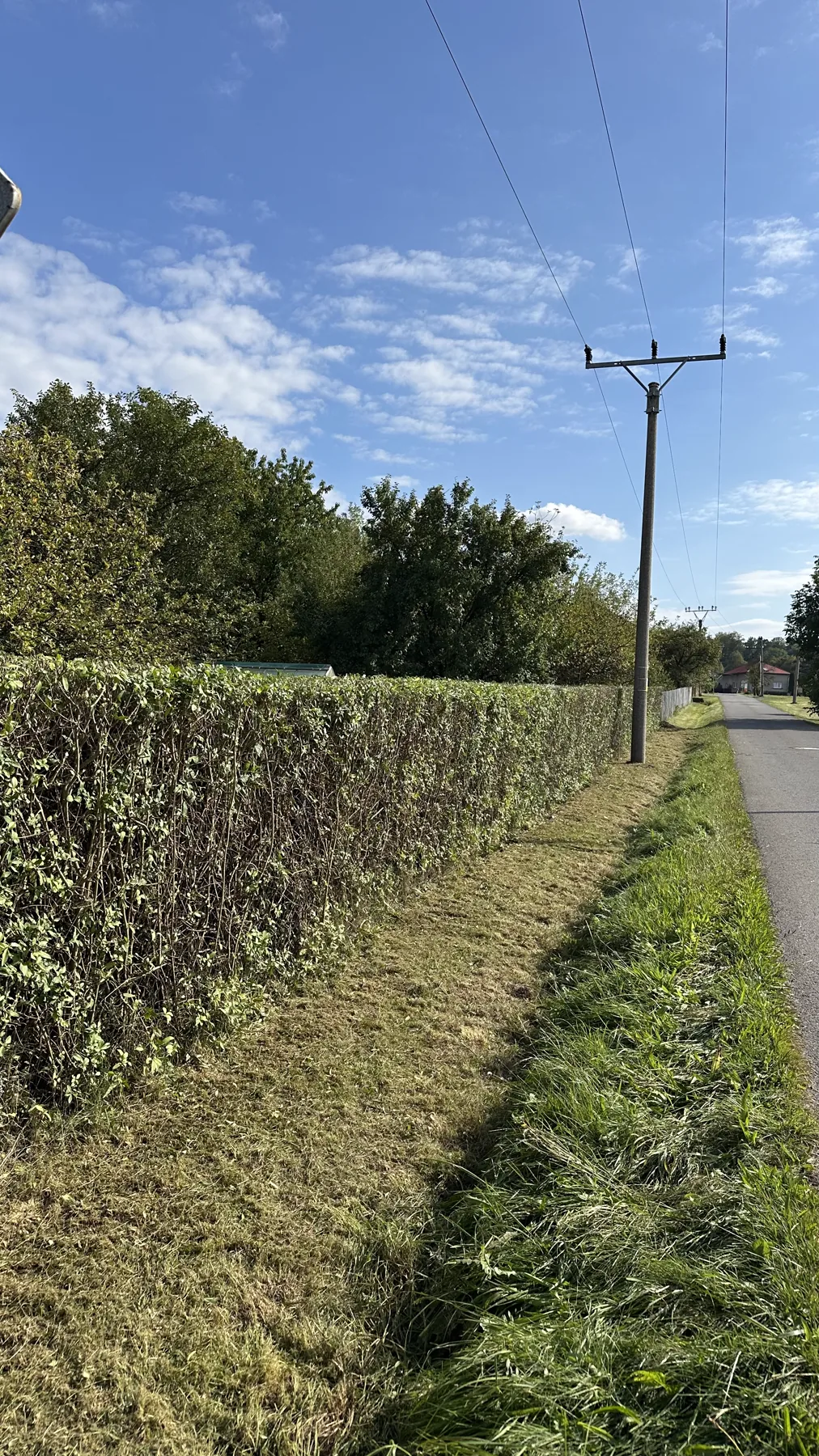 Rovně zastřižený dlouhý živý plot podél cesty