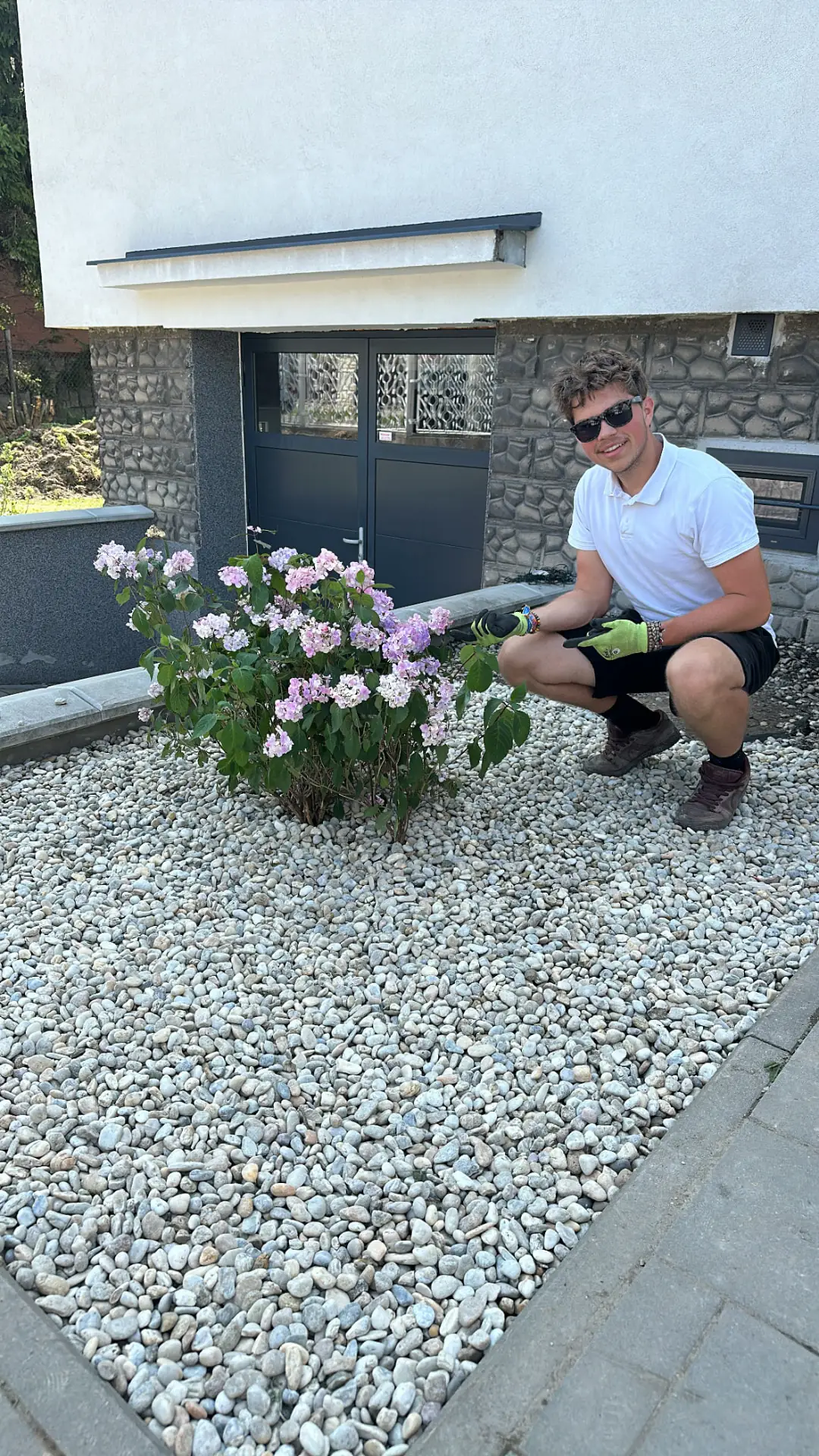 Hortenzie ve štěrkovém záhonu před domem